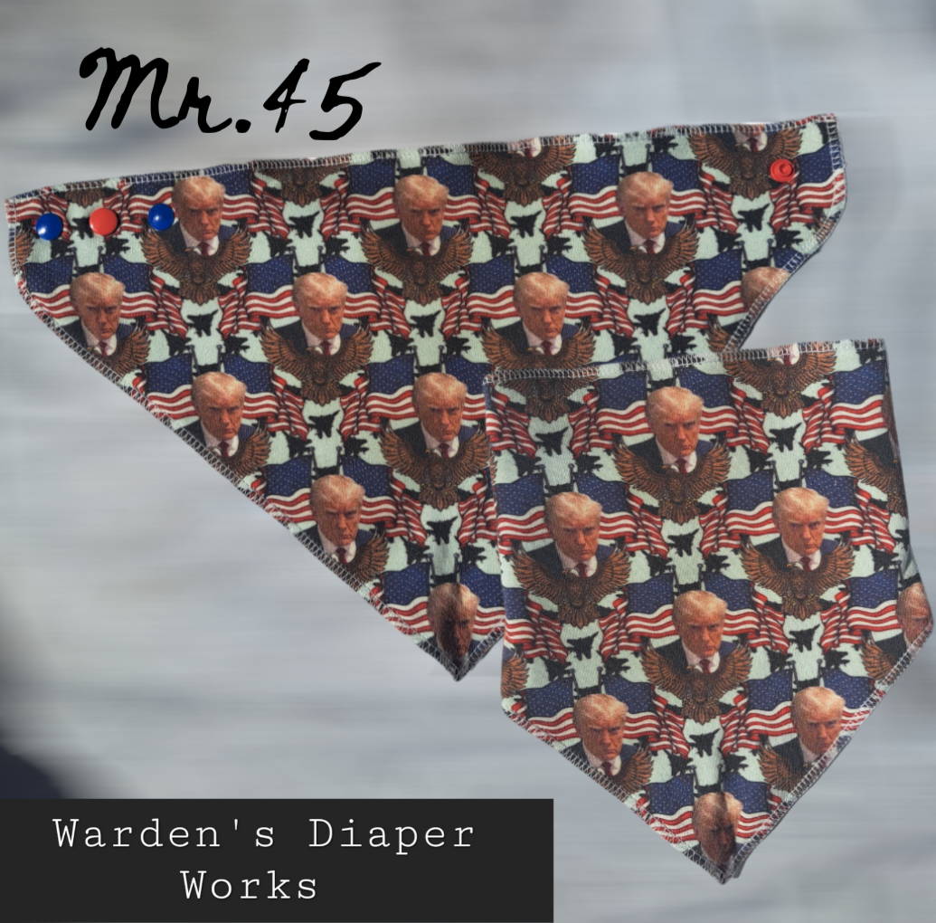 Bandana bib- Mr.45